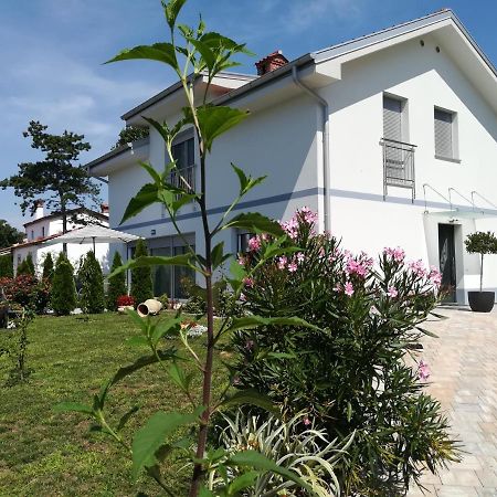 塞扎纳Apartma Majda公寓 外观 照片